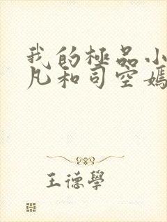 我的极品小姨叶凡和司空嫣的小说