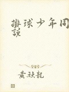 排球少年同人小说封面