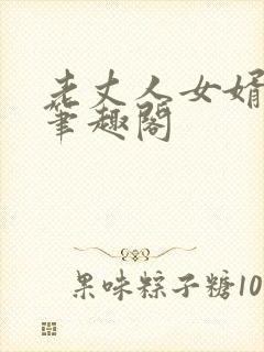 老丈人女婿小说笔趣阁