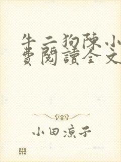 牛二狗陈小燕免费阅读全文