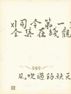 xl司令第一季全集在线观看免费播放