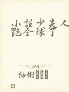 小说少夫人她惊艳全球了