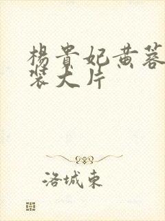 杨贵妃黄蓉版古装大片