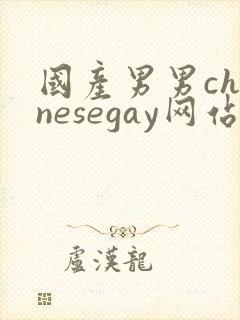 国产男男chinesegay网站
