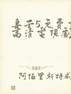 妻子5免费完整高清电视剧在线看