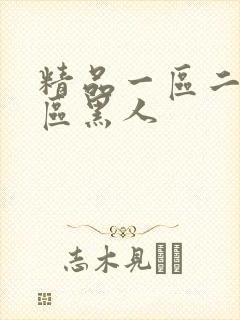 精品一区二区三区黑人封面