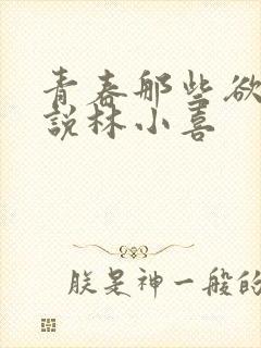 青春那些欲望小说林小喜