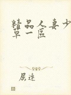 精品人妻少妇嫩草一区