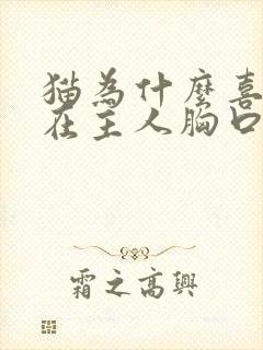 猫为什么喜欢睡在主人胸口