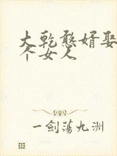 大乾憨婿娶了几个女人封面
