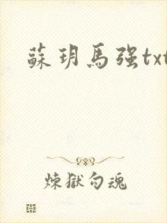 苏玥马强txt封面