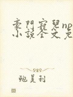 豪门宠儿npc小说全文免费阅读无弹窗