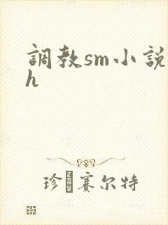 调教sm小说高h封面