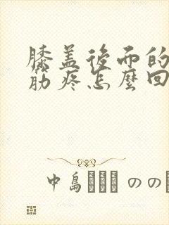 膝盖后面的腿窝筋疼怎么回事吃什么药