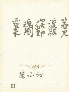 灵魂摆渡第一季未删节版免费观看封面