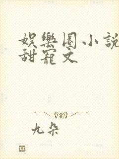 娱乐圈小说推荐甜宠文封面