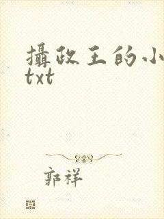 摄政王的小闲妻txt