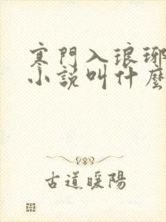 寒门入琅琊原著小说叫什么名字封面