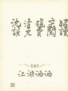 沈清砚宋昭汐小说免费阅读最新章节封面