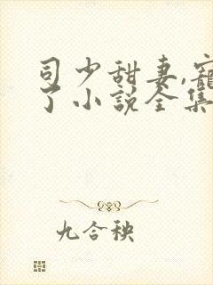 司少甜妻,宠定了小说全集