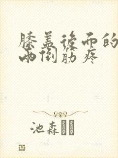 膝盖后面的腿窝两倒筋疼封面