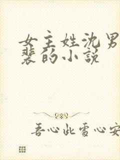 女主姓沈男主姓裴的小说