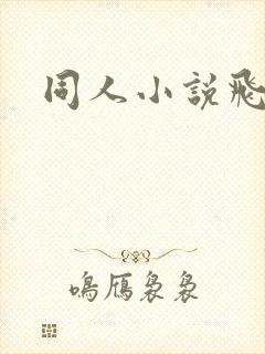 同人小说飞卢封面