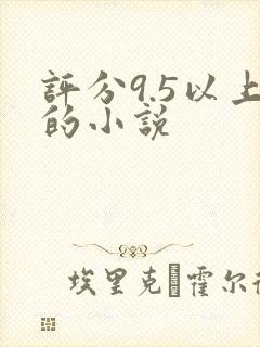 评分9.5以上的小说