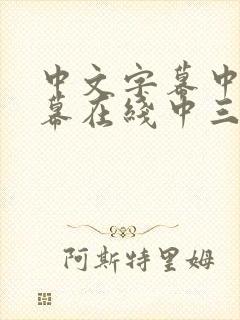 中文字幕中文字幕在线中三区
