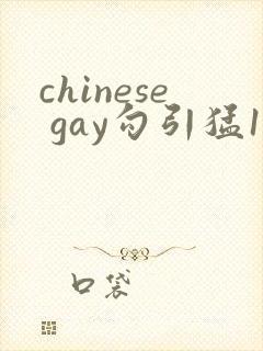 chinese gay勾引猛1video