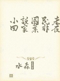 小说国民老公带回家叶非夜