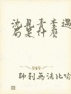 沈见青李遇泽结局是什么