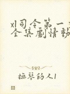 xl司令第一季全集剧情动漫