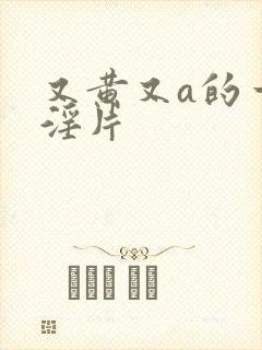 又黄又a的一级淫片