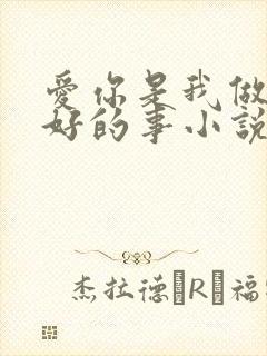 爱你是我做过最好的事小说下载