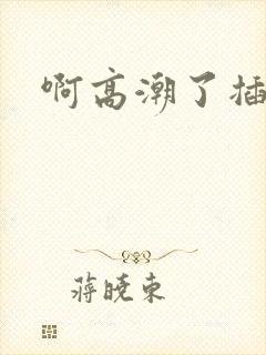 啊高潮了插死我