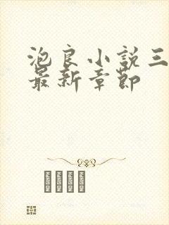 泡良小说三部曲最新章节