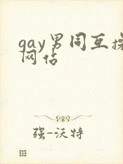 gay男同互操网站