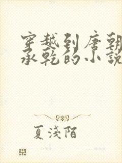 穿越到唐朝当李承乾的小说