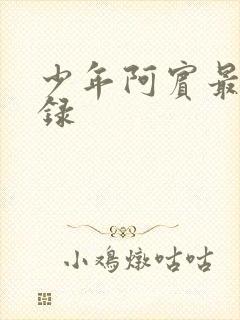 少年阿宾最新目录