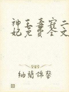 神王毒宠二嫁王妃免费全文阅读