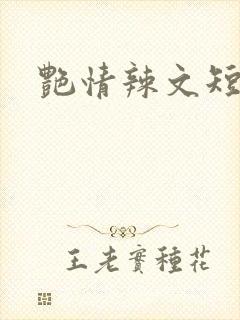 艳情辣文短篇