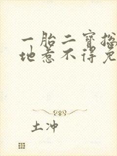 一胎二宝总裁爹地惹不得免费