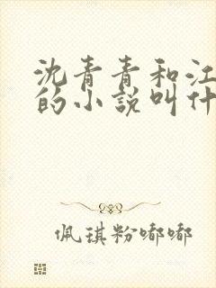 沈青青和江致勋的小说叫什么名字