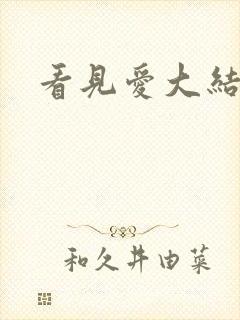 看见爱大结局
