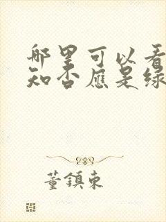 哪里可以看知否知否应是绿肥红瘦