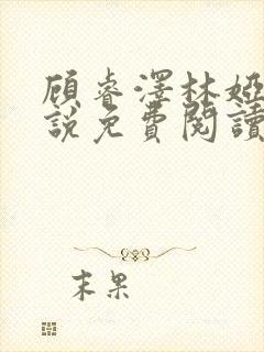 顾睿泽林娅楠小说免费阅读最新章节