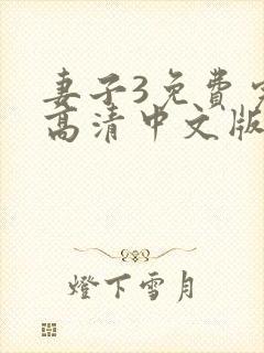 妻子3免费完整高清中文版电视剧封面