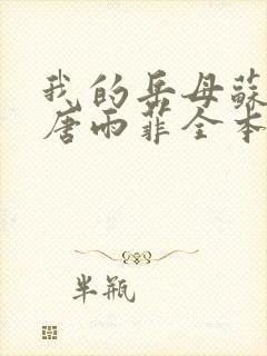 我的岳母苏沛真唐雨菲全本阅读