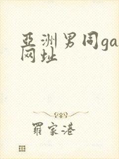 亚洲男同gay网址